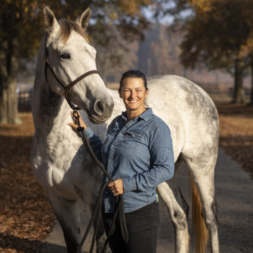 about-rachael-tonsmeire-moving-parts-equine